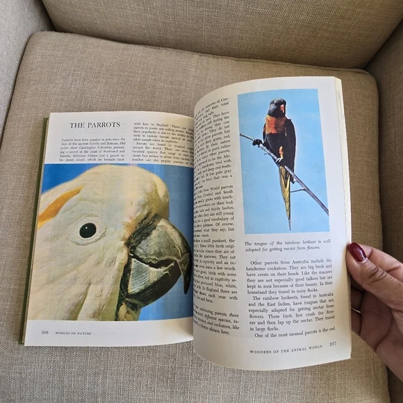 Walt Disney's Books "STORIES FROM OTHER LANDS" "WORLDS OF NATURE" 1965 - Picture 11 of 12